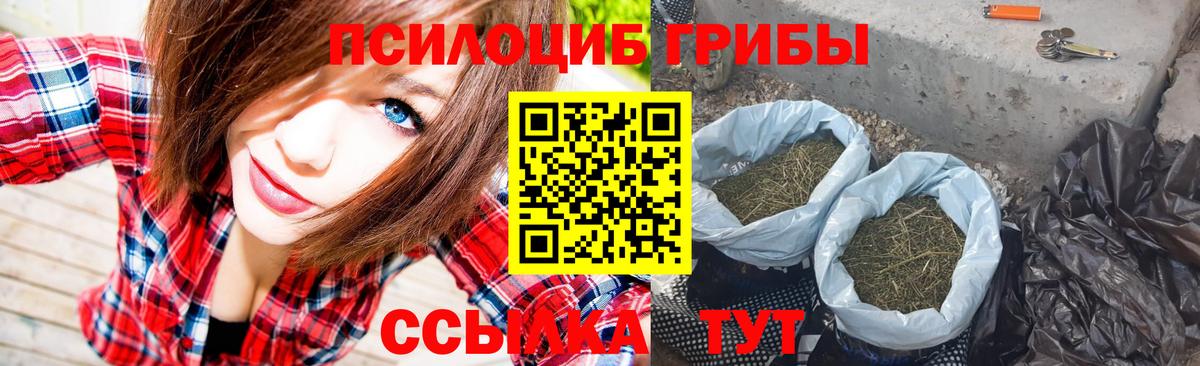Псилоцибиновые грибы Psilocybine cubensis Карасук
