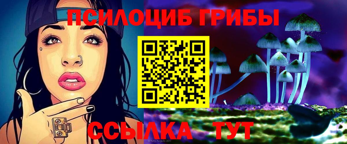 Карасук  Галлюциногенные грибы Cubensis  Вход с VPN 